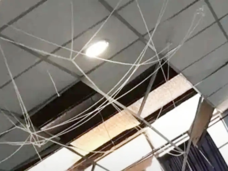 Se derrumbó el cielorraso de una escuela en Daireaux e hirió a tres alumnos
