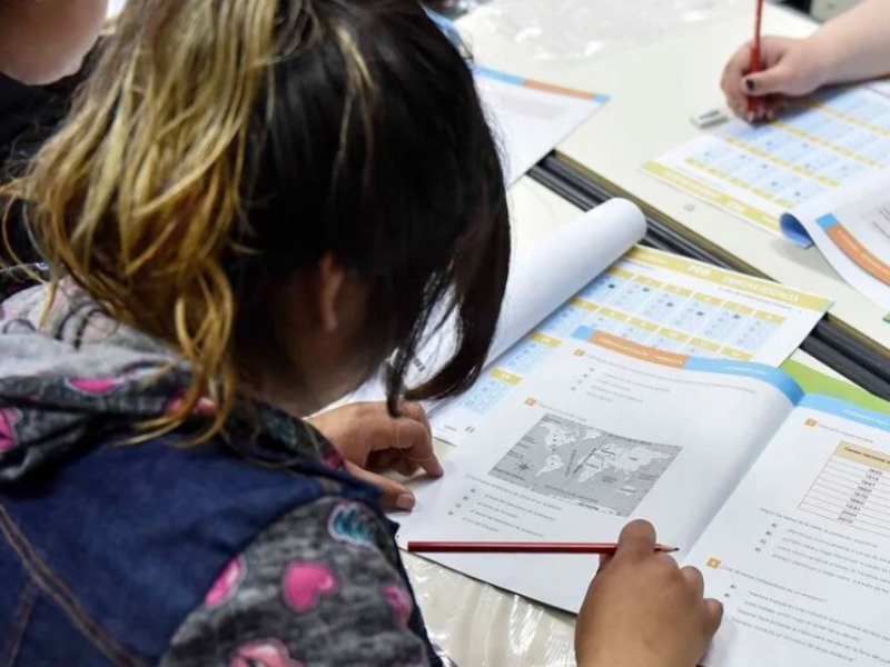 Pruebas Aprender: sigue estancado el mal desempeño en matemática y bajó el rendimiento en lengua