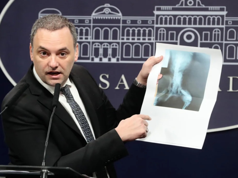 El Gobierno denunció la entrega de pensiones por invalidez truchas: «Usaron radiografías de animales»
