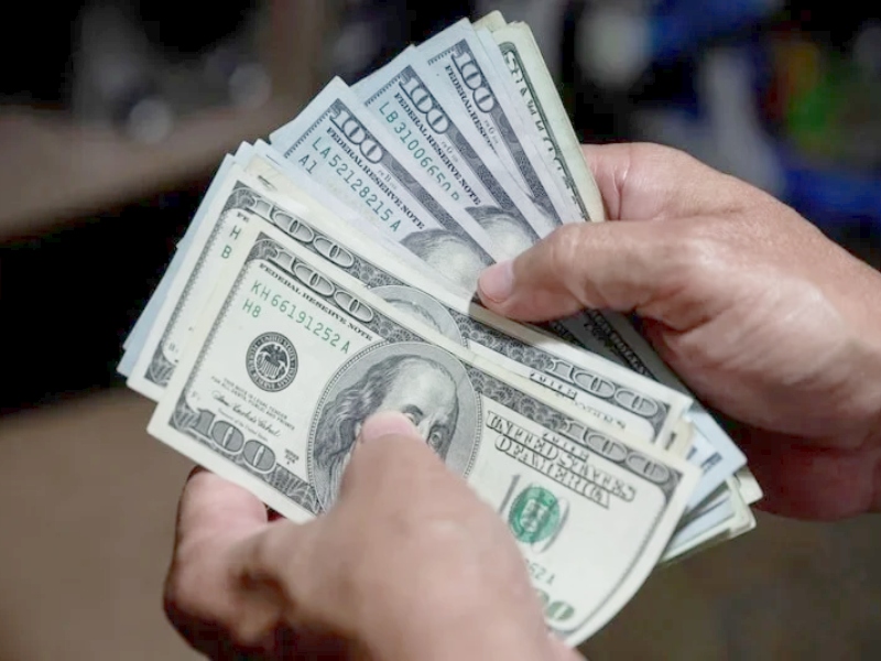 Blanqueo: la AFIP dispuso en qué se podrán invertir los dólares regularizados