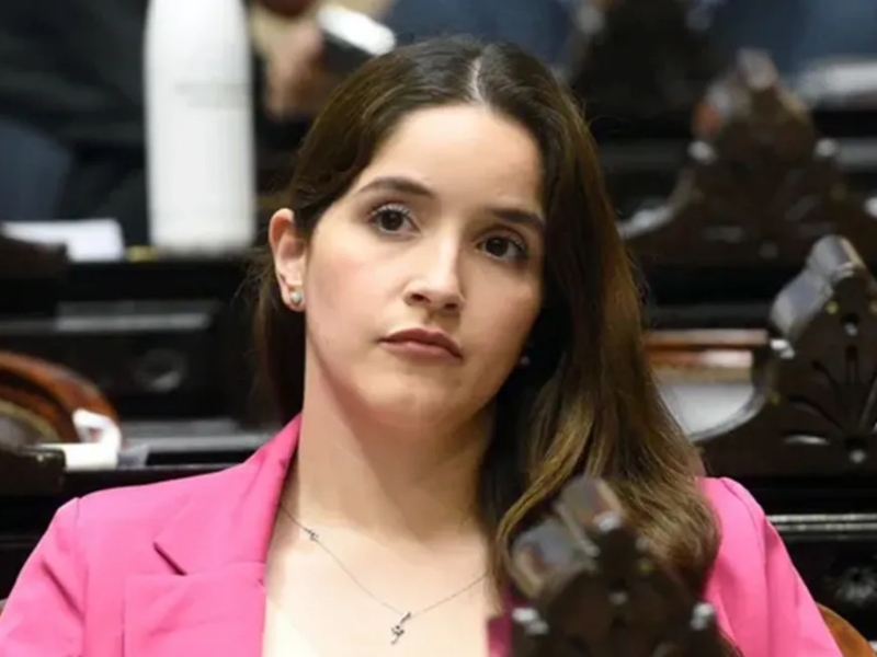 Una de las diputadas que visitó a Astiz dijo que «esto tenía el OK de Patricia Bullrich»