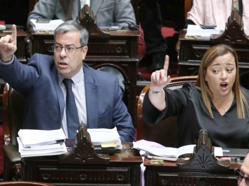 UxP presentó un proyecto en Diputados para repudiar la violencia de género de Alberto Fernández