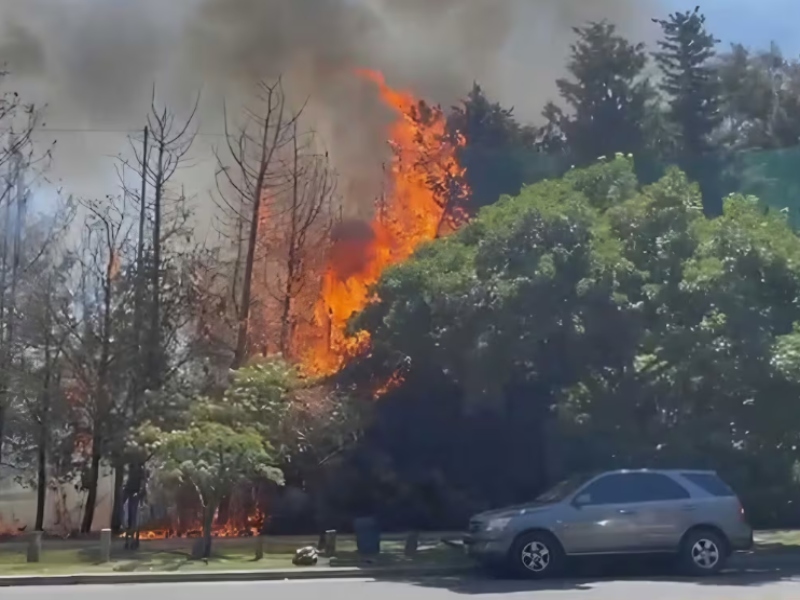 Voraz incendio en el Golf de Palermo con llamas de tres metros y fuego en los árboles