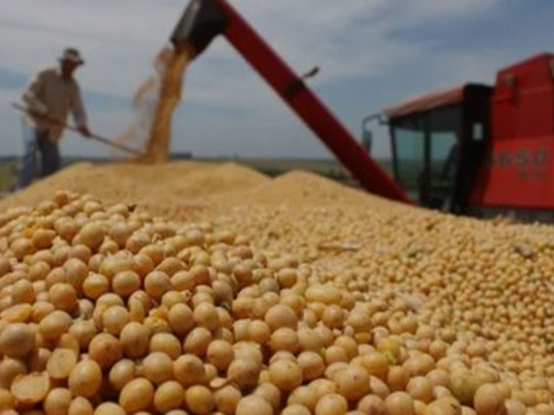 El Gobierno habilita el uso de pagaré nominado en especies o mercancías