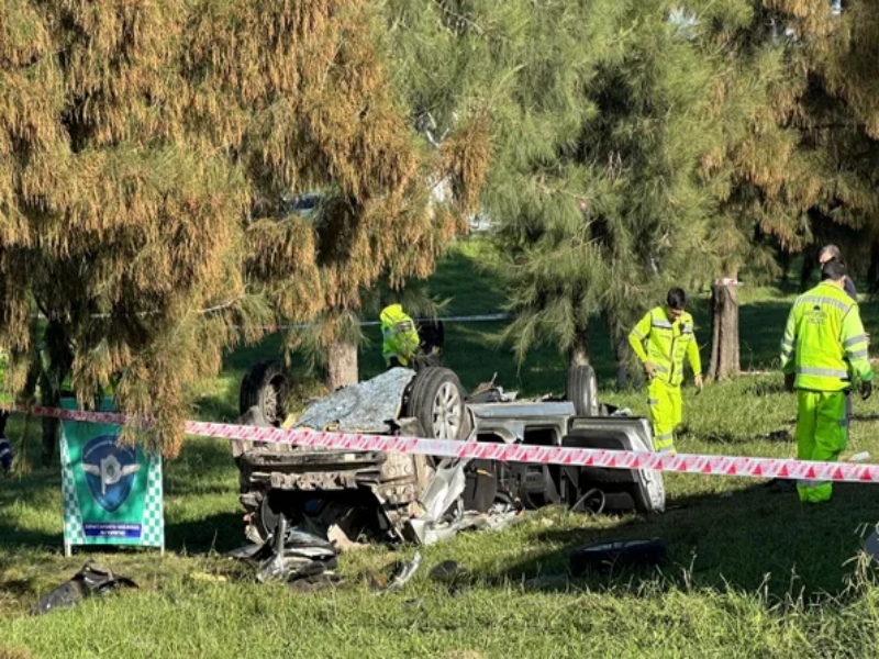 Panamericana: cinco jóvenes muertos tras un vuelco y el impacto contra un árbol