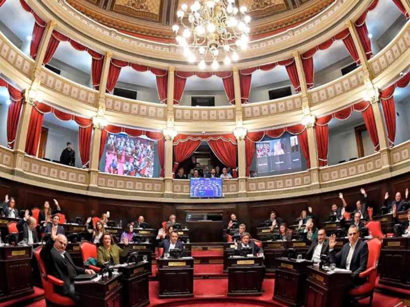 El Senado de provincia de Buenos Aires dio media sanción a la reelección indefinida de legisladores