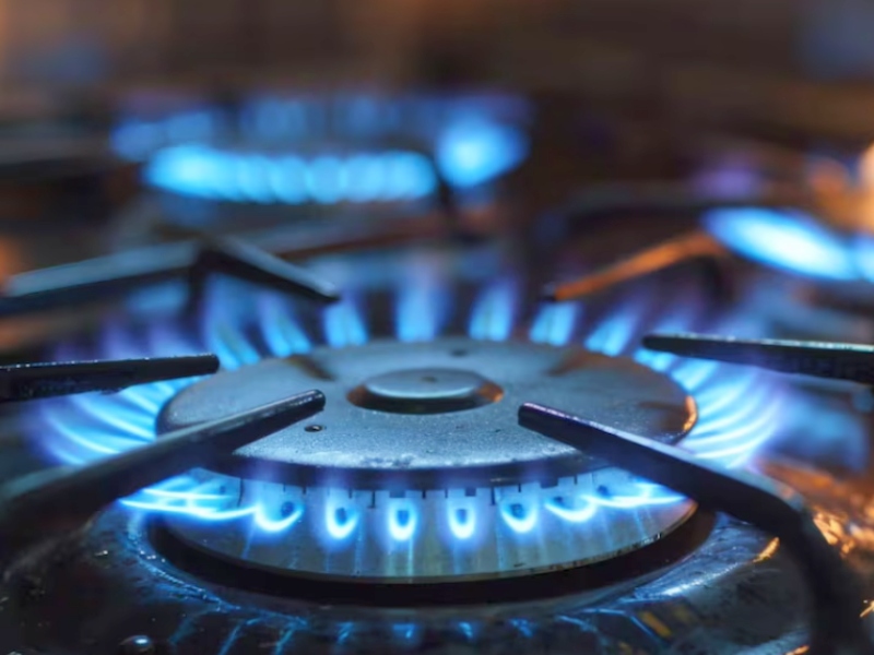 El Gobierno fusionó por decreto los entes reguladores del gas y la electricidad