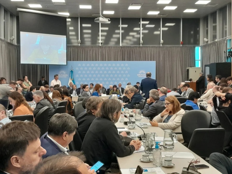 Diputados dictaminó los proyectos de los gobernadores y LLA hizo propuestas propias