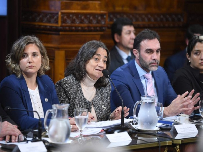 El Senado dictaminó la emergencia en pediatría y el financiamiento universitario