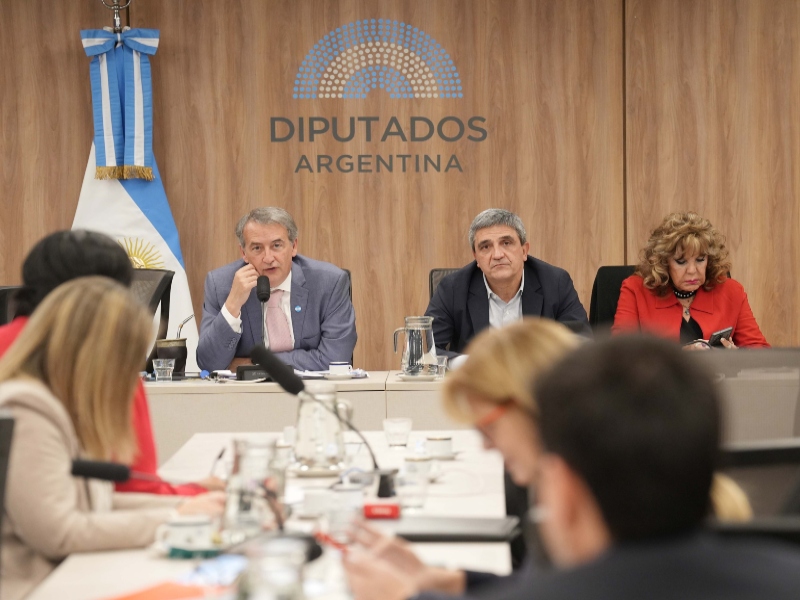 Coimas en ANDIS: avanza el proceso para interpelar a Karina Milei y Mario Lugones en Diputados