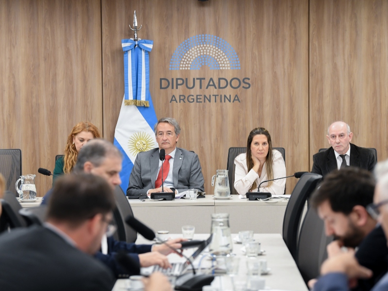 La oposición acordó interpelar a Francos por no cumplir la emergencia en discapacidad