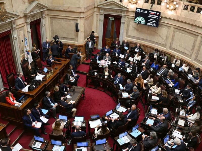 El Senado dejó firmes las leyes de emergencia pediátrica y financiamiento universitario