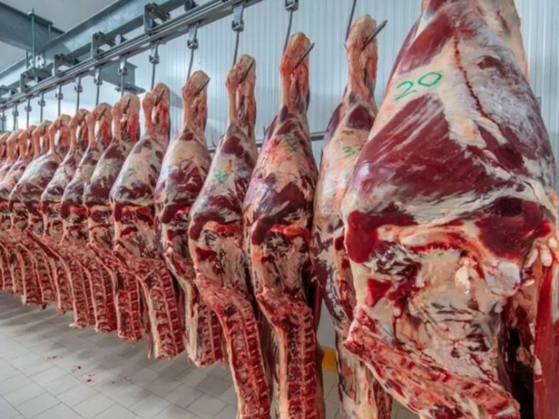 Estados Unidos planea cuadruplicar la importación de carne vacuna argentina