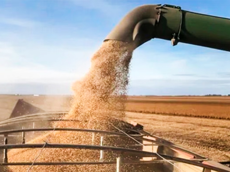 Anuncian una nueva baja de retenciones a las exportaciones de los granos