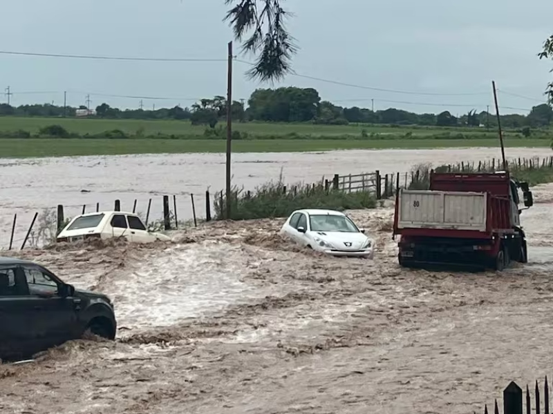 Diluvio, avalanchas e inundaciones en Salta: cayeron casi 100 milímetros en una hora