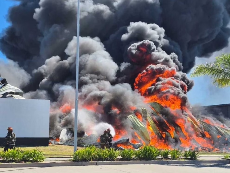 Un feroz incendio arrasó con dos depósitos en el parque industrial de Tigre