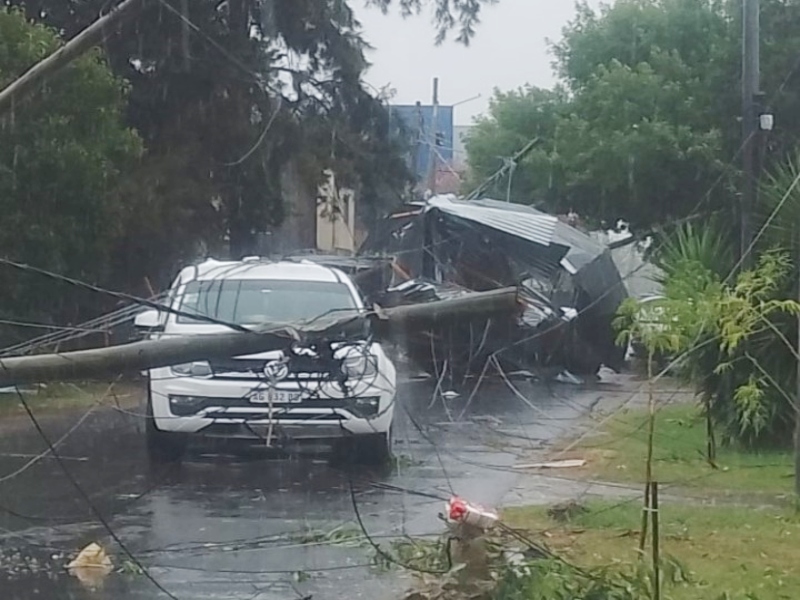 Fuerte tormenta sobre el AMBA: arboles caídos, destrozos y usuarios sin luz