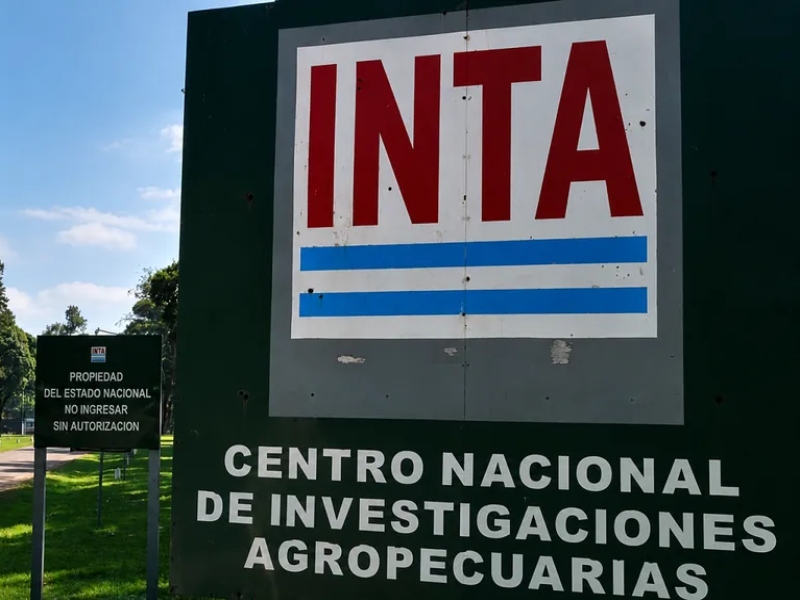 INTA: el Gobierno oficializó un retiro voluntario para reducir 1000 puestos