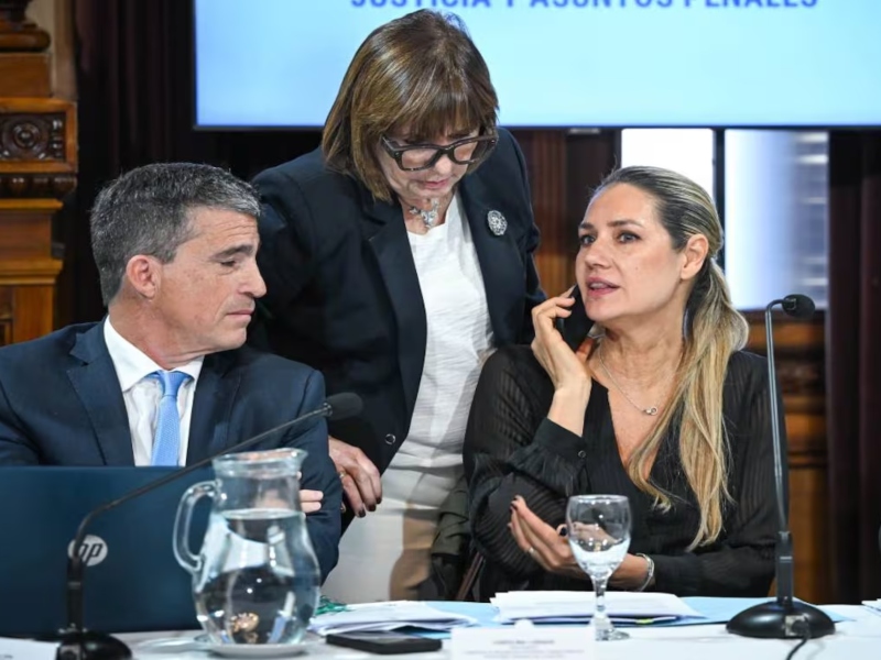 El Senado postergó el tratamiento del pliego que provocó el cruce entre Patricia Bullrich y el Gobierno