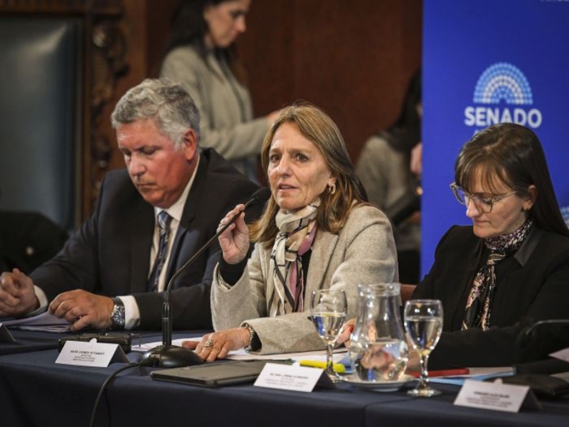 Senado: el oficialismo logró dictamen de mayoría para ajustar los subsidios al gas en zonas frías
