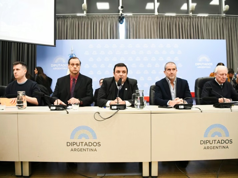 Discapacidad: con ayuda de los aliados, el oficialismo logró dictamen de mayoría en Diputados