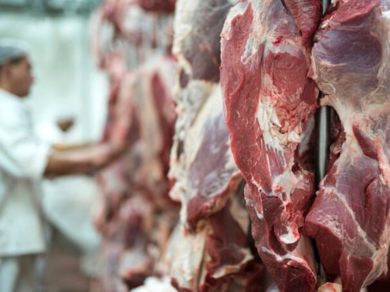 Argentina anunció la apertura total del mercado de Japón para la carne bovina