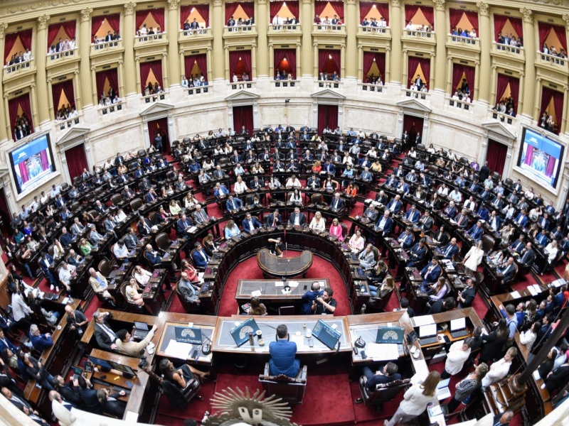 Diputados: la oposición pidió una sesión para tratar el DNU 70, discapacidad y endeudamiento