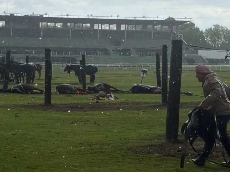 Cayó un rayo en el Jockey Club de San Isidro y mató a cuatro caballos de polo